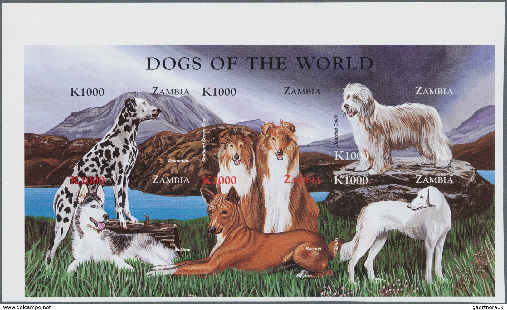 Thematik: Tiere-Hunde / Animals-dogs: 1999, ZAMBIA: Dogs Set In Two Perforate And IMPERFORATE Sheetl - Dogs