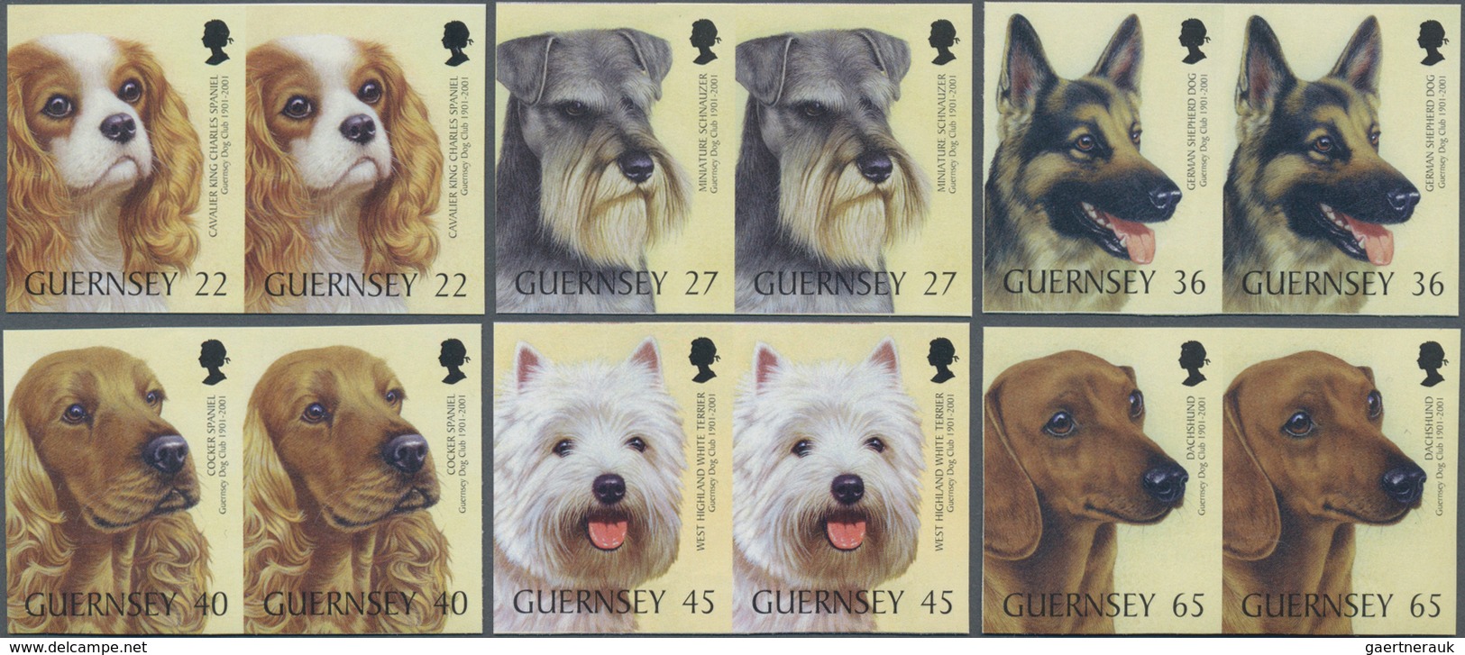 Thematik: Tiere-Hunde / Animals-dogs: 2001, GUERNSEY: Centenary Of Guernsey Dog-Club Complete Set Of - Hunde
