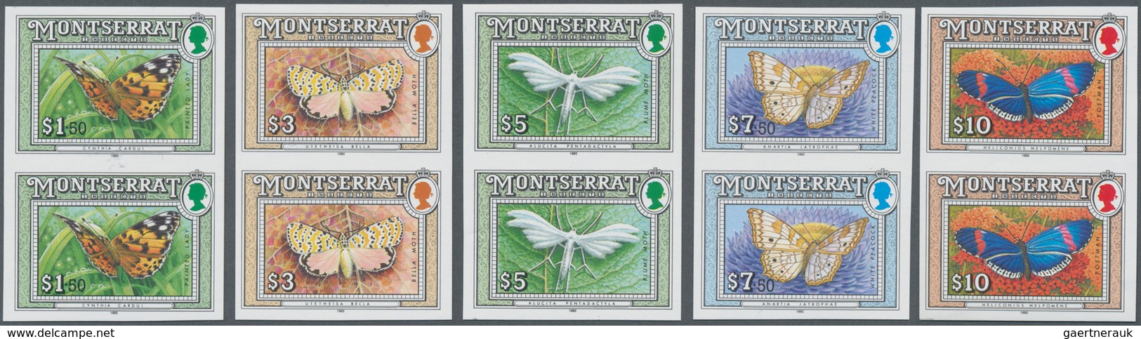 Thematik: Tiere-Insekten / Animals-insects: 1992, MONTSERRAT: Definitives 'Insects' (butterflies, Dr - Other & Unclassified