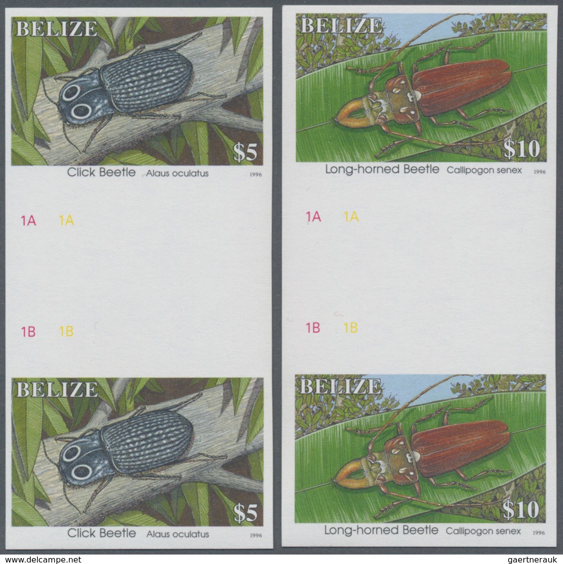 Thematik: Tiere-Insekten / Animals-insects: 1996, BELIZE: Definitives 'Insects' (beetles, Butterfly, - Sonstige & Ohne Zuordnung