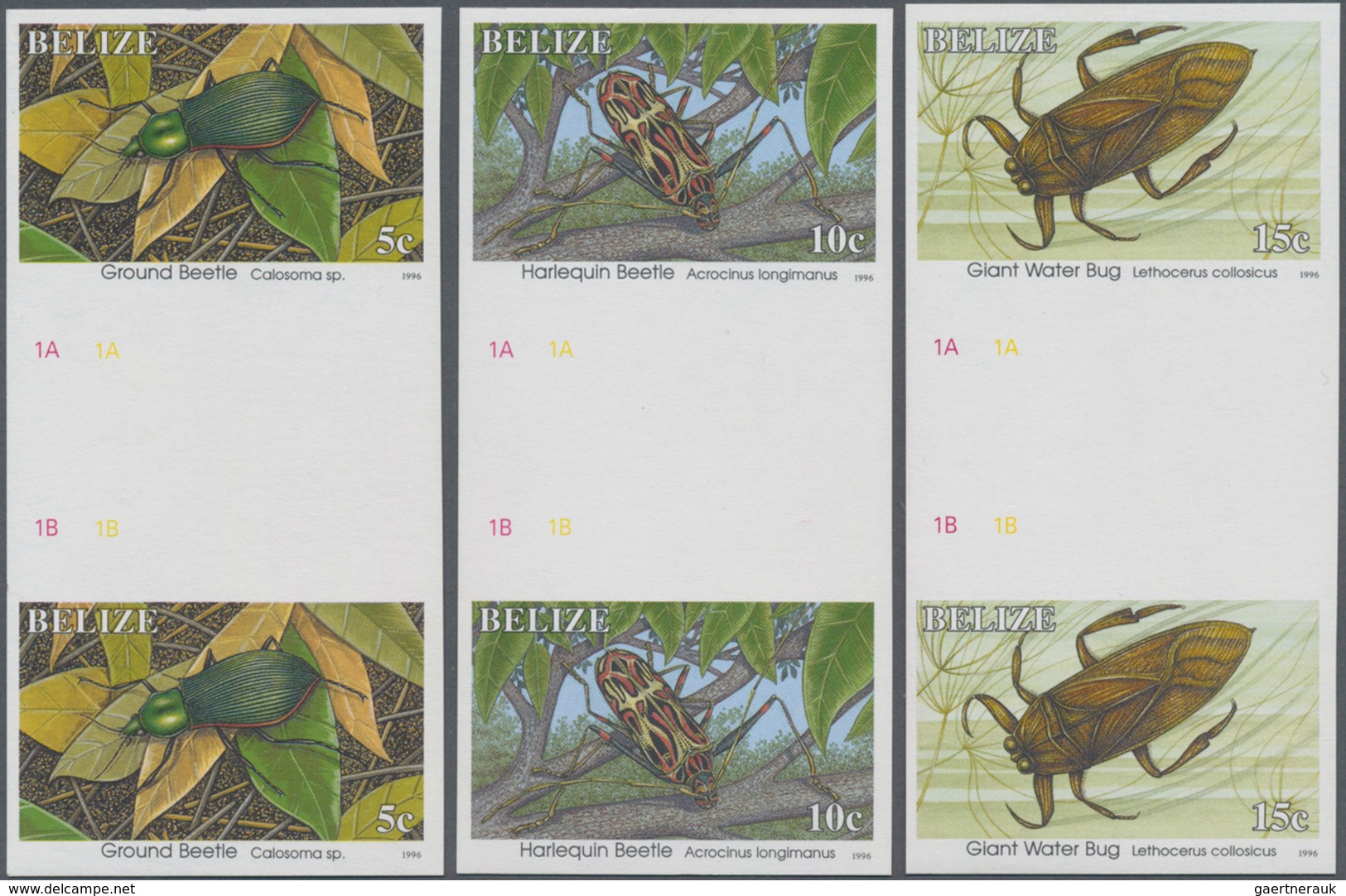 Thematik: Tiere-Insekten / Animals-insects: 1996, BELIZE: Definitives 'Insects' (beetles, Butterfly, - Andere & Zonder Classificatie