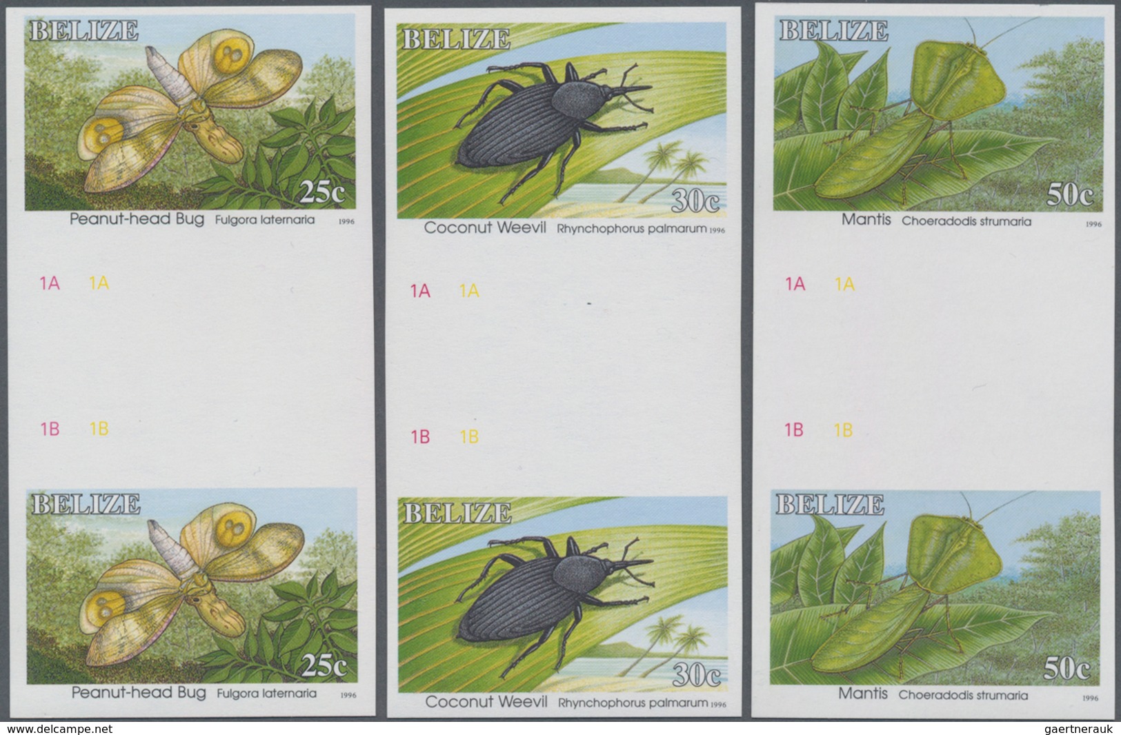 Thematik: Tiere-Insekten / animals-insects: 1996, BELIZE: Definitives 'Insects' (beetles, butterfly,