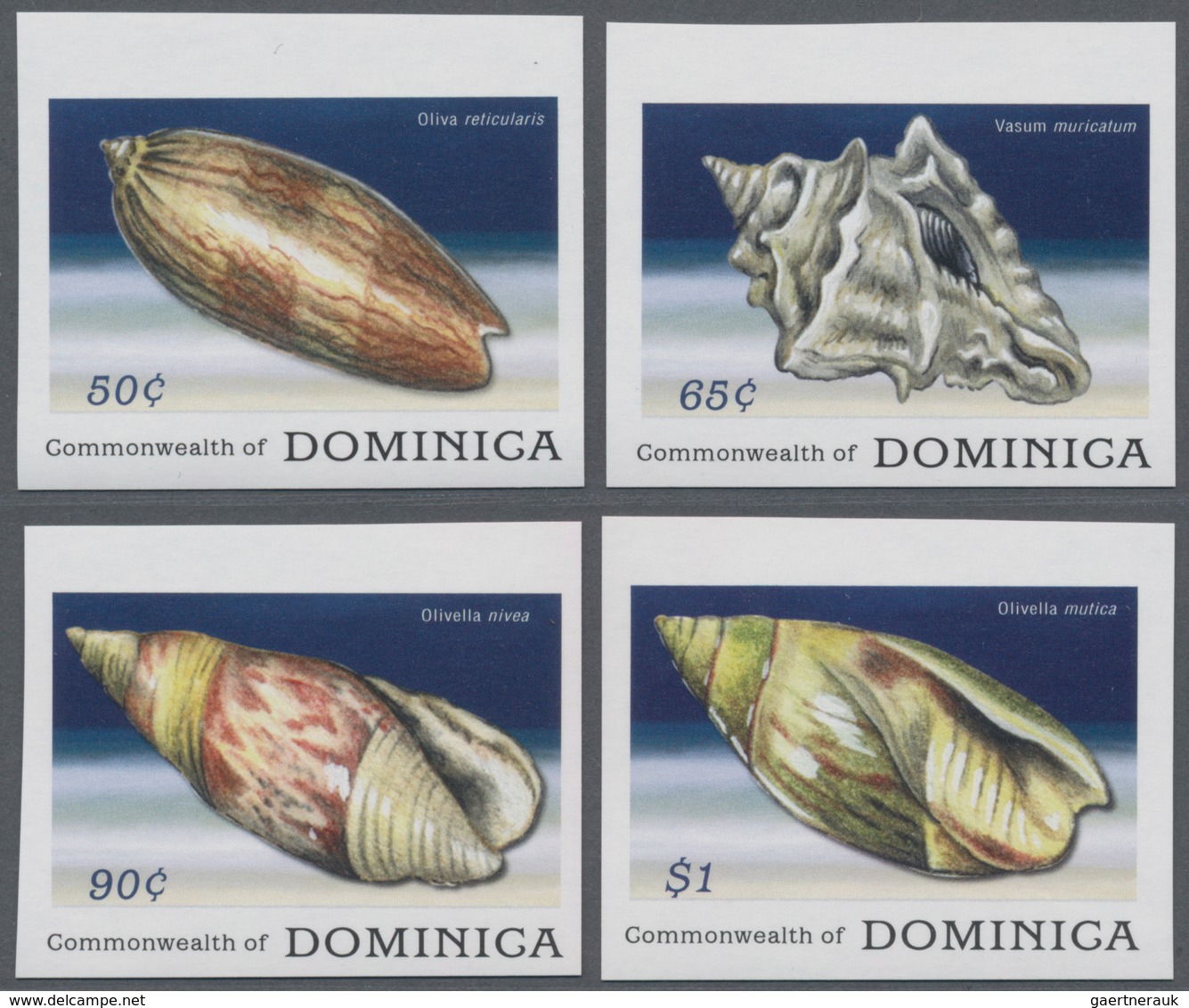 Thematik: Tiere-Meerestiere / Animals-sea Animals: 2009, DOMINICA: Sea Snails Complete IMPERFORATE S - Marine Life