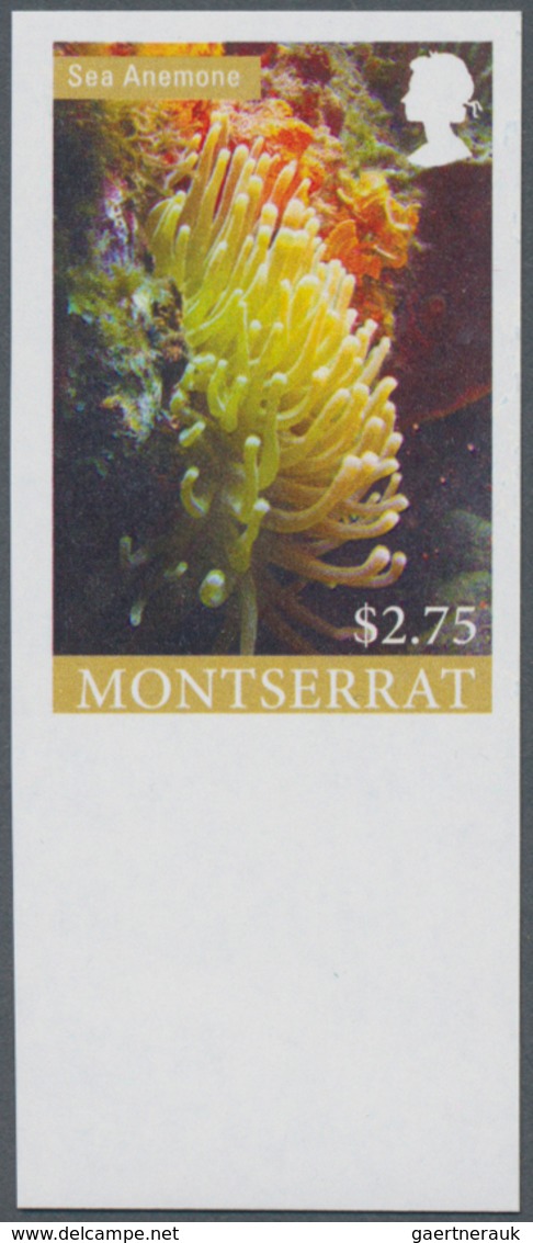 Thematik: Tiere-Meerestiere / Animals-sea Animals: 2010, MONTSERRAT: Sea Animals Complete Set Of Fiv - Marine Life