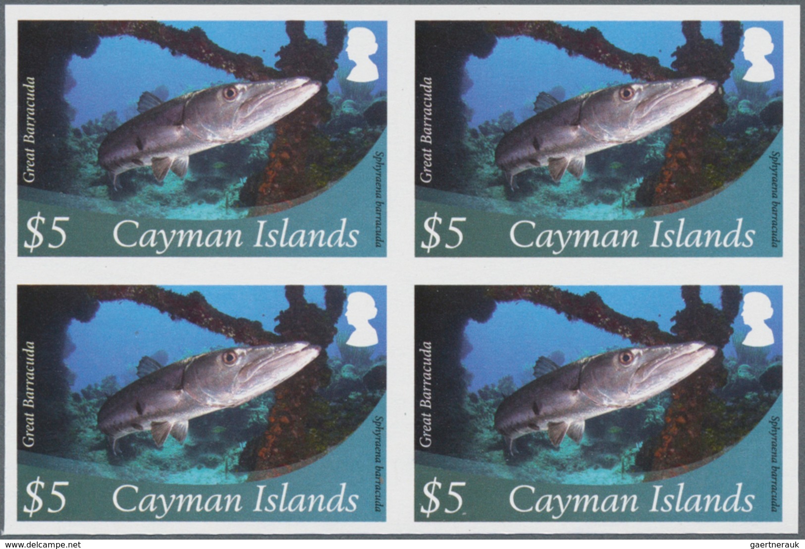 Thematik: Tiere-Meerestiere / Animals-sea Animals: 2012, Cayman Islands. Imperforate Block Of 4 For - Marine Life