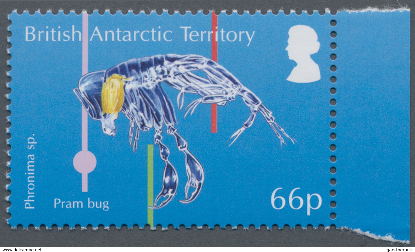Thematik: Tiere-Meerestiere / Animals-sea Animals: 2016, British Antarctic Territory. Original Artis - Vie Marine