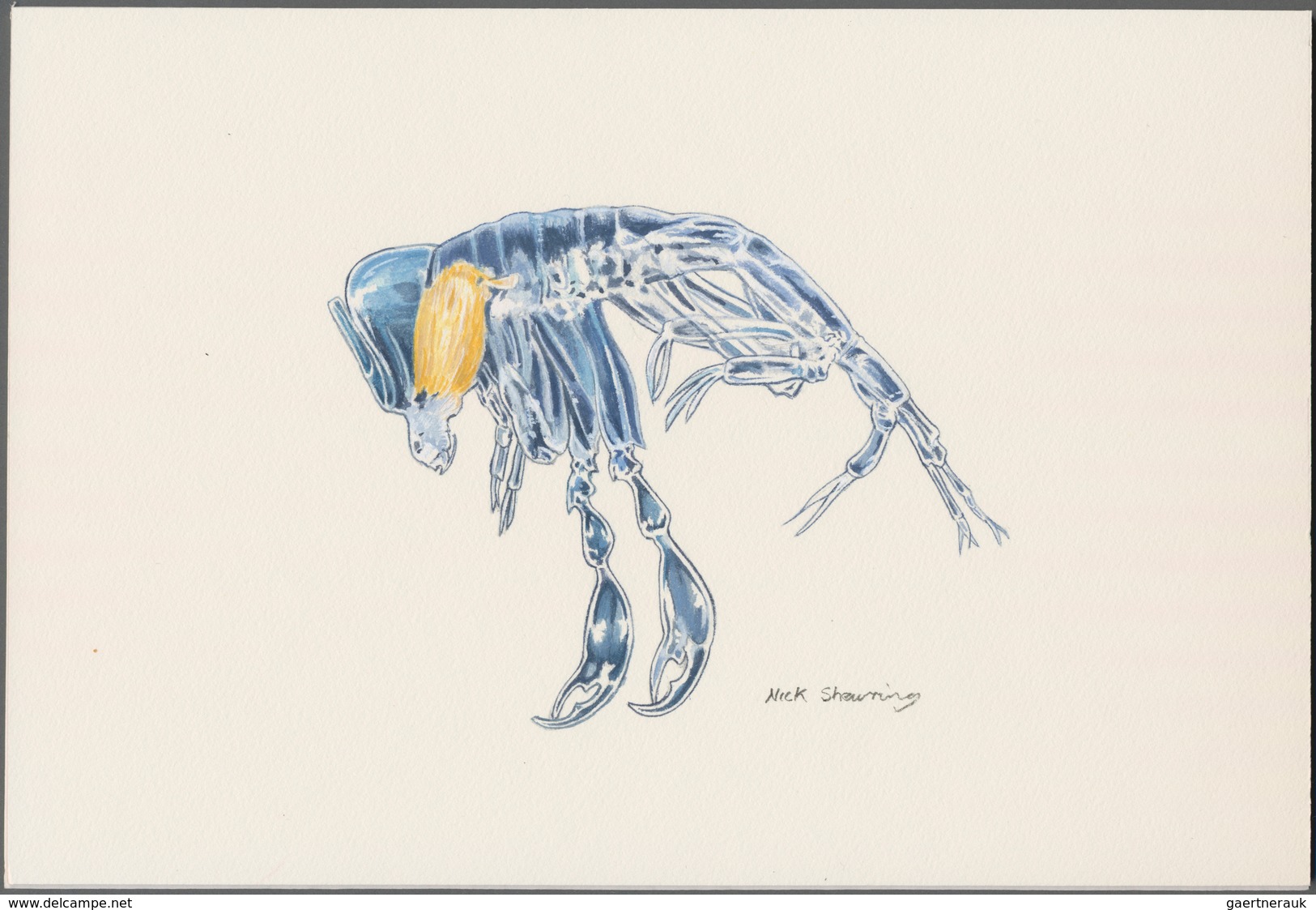 Thematik: Tiere-Meerestiere / Animals-sea Animals: 2016, British Antarctic Territory. Original Artis - Vie Marine