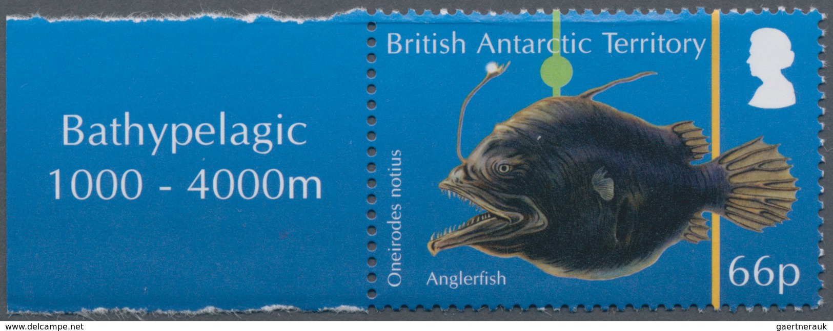 Thematik: Tiere-Meerestiere / Animals-sea Animals: 2016, British Antarctic Territory. Original Artis - Marine Life