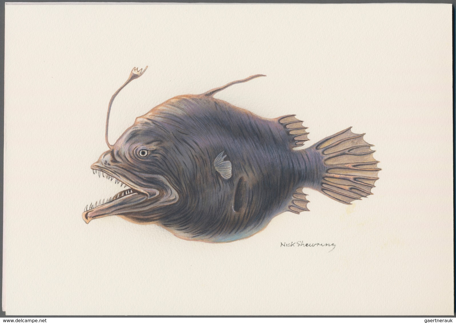 Thematik: Tiere-Meerestiere / Animals-sea Animals: 2016, British Antarctic Territory. Original Artis - Marine Life