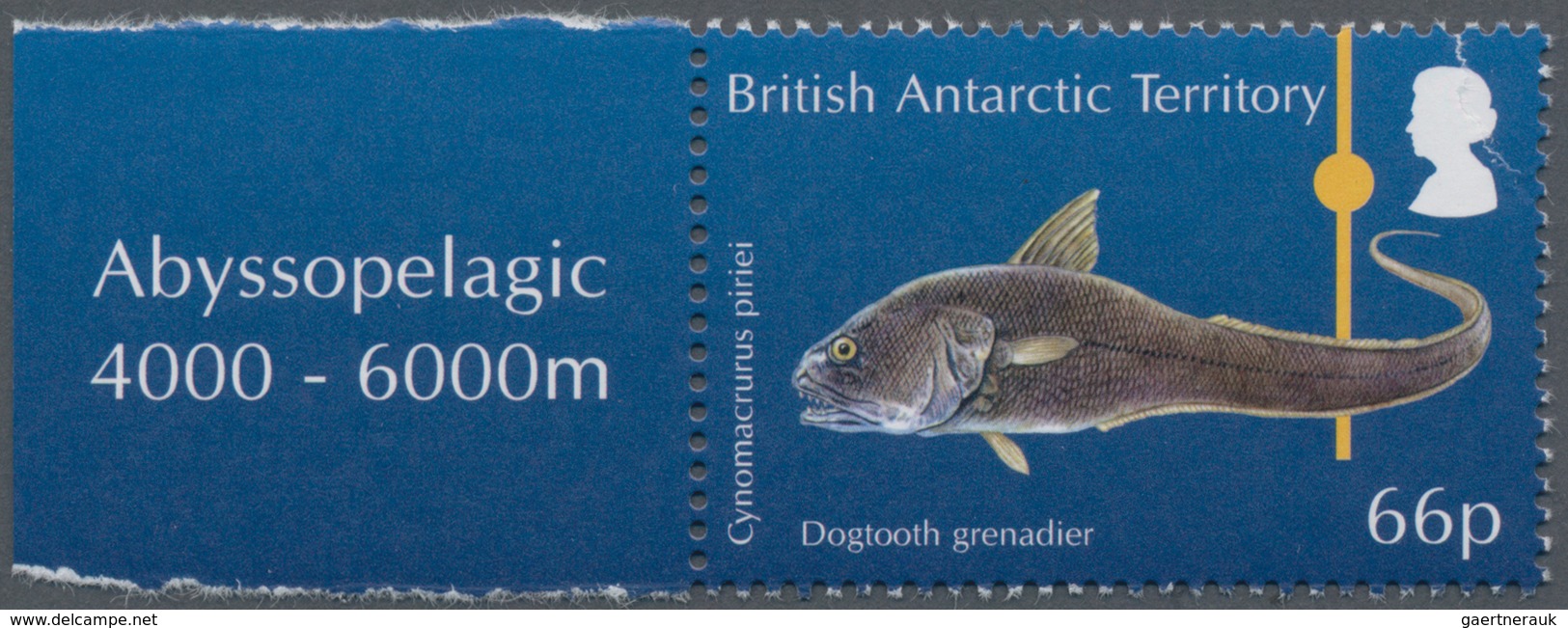 Thematik: Tiere-Meerestiere / Animals-sea Animals: 2016, British Antarctic Territory. Original Artis - Marine Life
