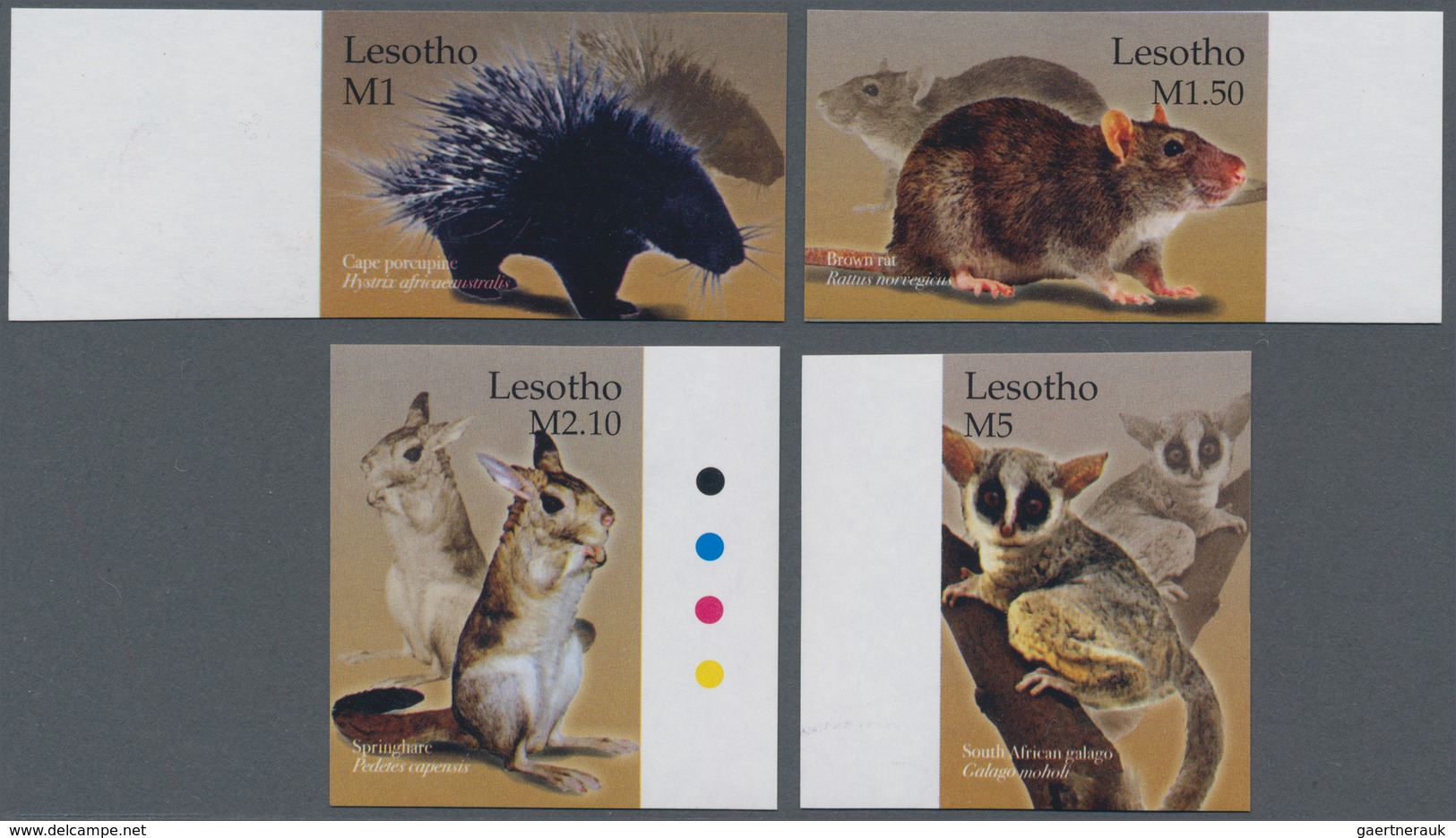 Thematik: Tiere-Säugetiere / Animals-mammals: 2004, LESOTHO: Mammals Complete IMPERFORATE Set Of Fou - Other & Unclassified