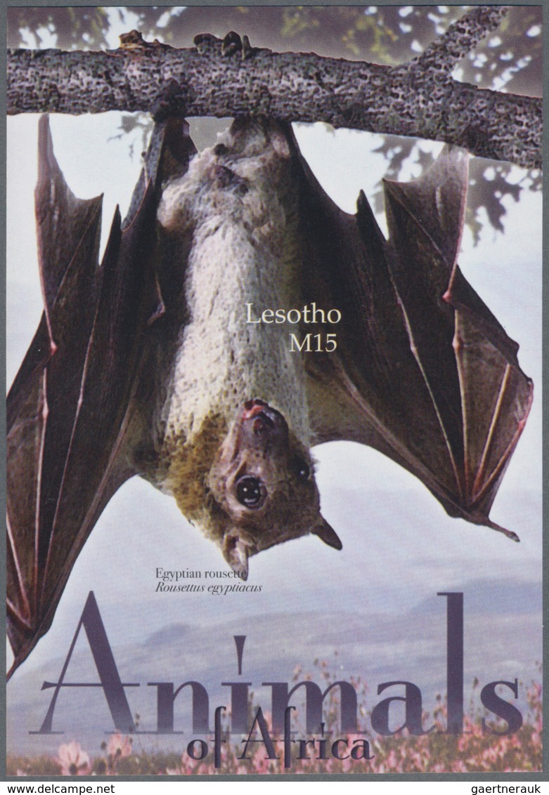 Thematik: Tiere-Säugetiere / Animals-mammals: 2004, LESOTHO: Mammals Complete IMPERFORATE Set Of Fou - Other & Unclassified