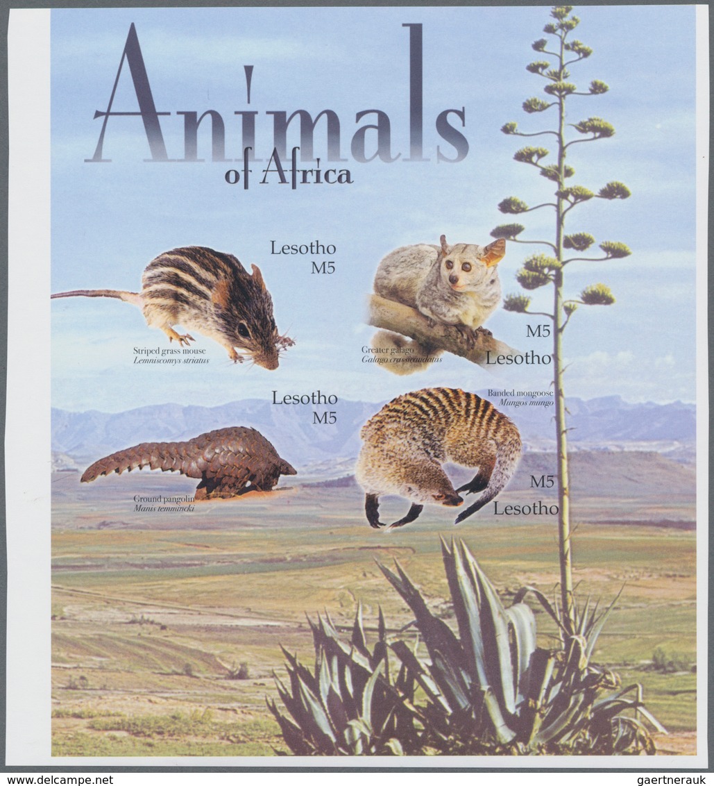 Thematik: Tiere-Säugetiere / Animals-mammals: 2004, LESOTHO: Mammals Complete IMPERFORATE Set Of Fou - Other & Unclassified