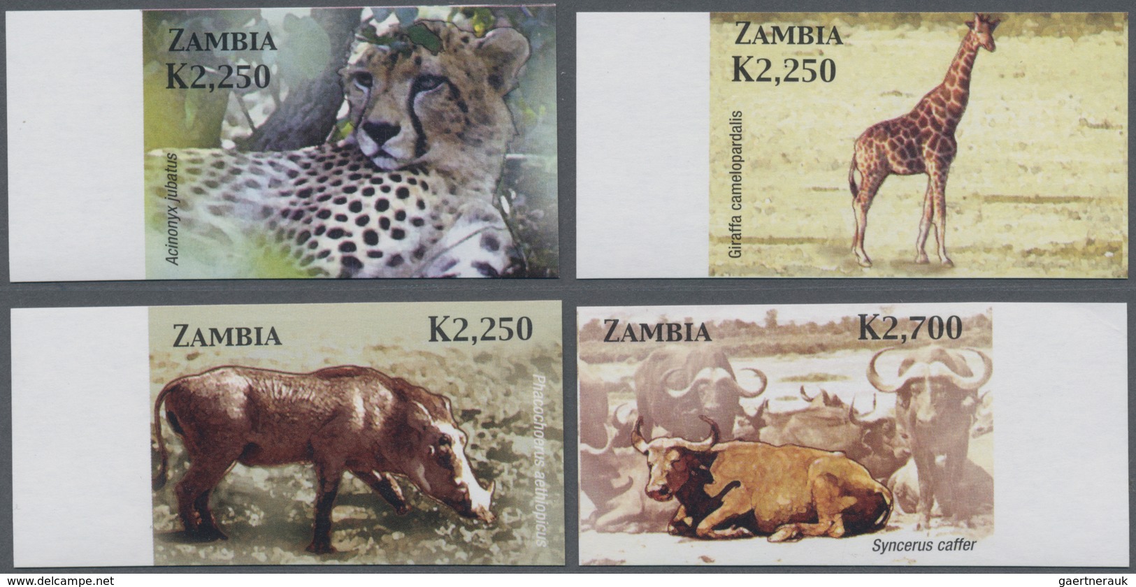 Thematik: Tiere-Säugetiere / Animals-mammals: 2005, ZAMBIA: African Mammals Complete Set Of Four Fro - Sonstige & Ohne Zuordnung