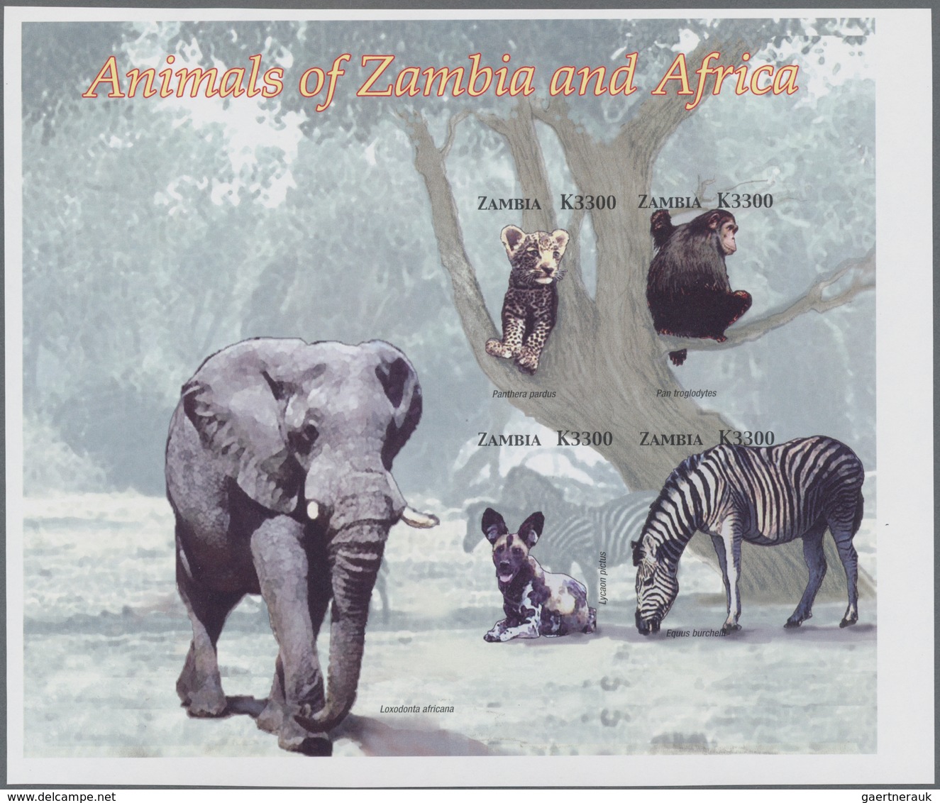 Thematik: Tiere-Säugetiere / Animals-mammals: 2005, ZAMBIA: African Mammals Complete Set Of Four Fro - Other & Unclassified