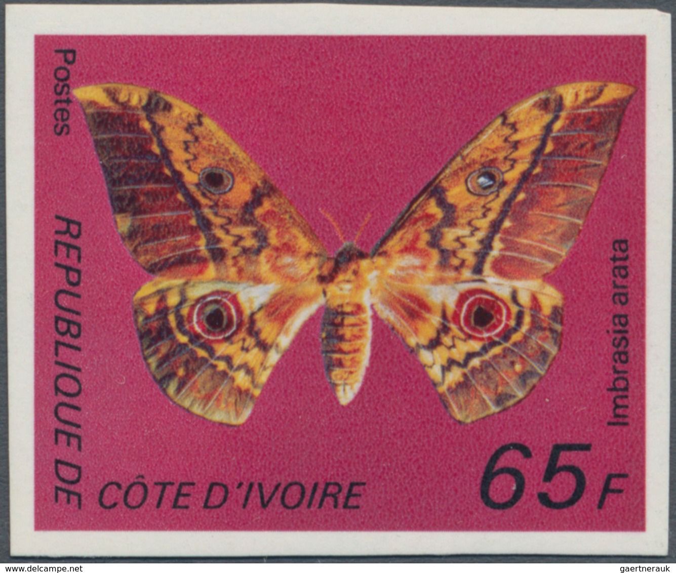 Thematik: Tiere-Schmetterlinge / Animals-butterflies: 1977, IVORY COAST: Butterfly 65fr. 'Imbrasia A - Butterflies