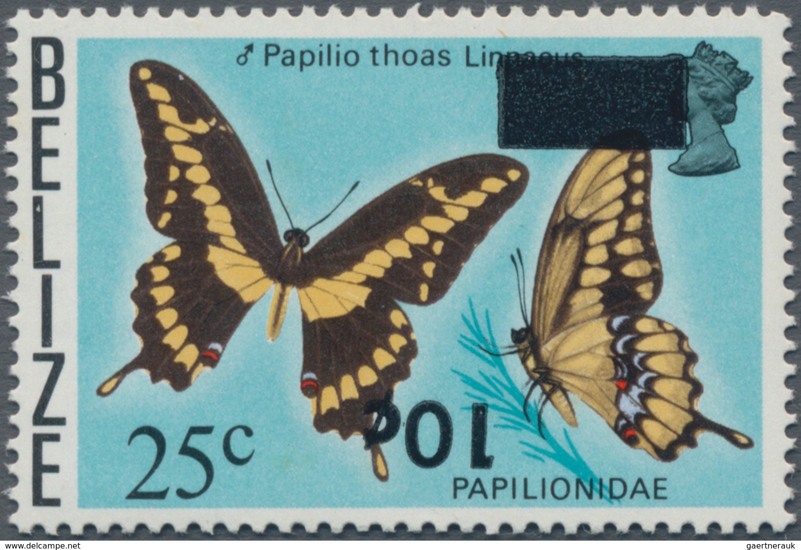 Thematik: Tiere-Schmetterlinge / Animals-butterflies: 1980, BELIZE: Butterfly 25c. 'Papilio Thoas' W - Butterflies