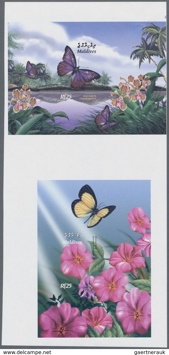 Thematik: Tiere-Schmetterlinge / Animals-butterflies: 2003, MALDIVES: Beak Butterfly (Libythea Geoff - Butterflies