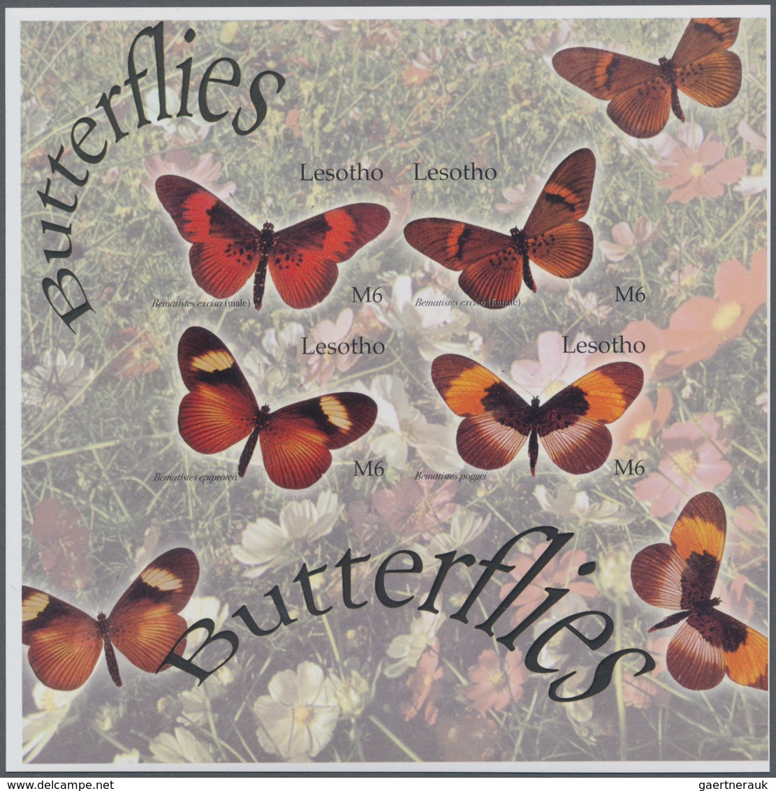 Thematik: Tiere-Schmetterlinge / Animals-butterflies: 2004, LESOTHO: Butterflies Complete IMPERFORAT - Butterflies