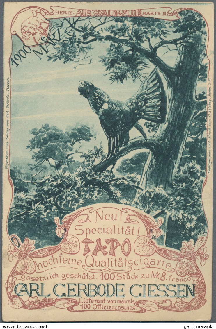 Thematik: Tiere-Vögel / Animals-birds: 1900, German Reich. Private Postcard 3p "Tapo Qualitätscigarr - Sonstige & Ohne Zuordnung