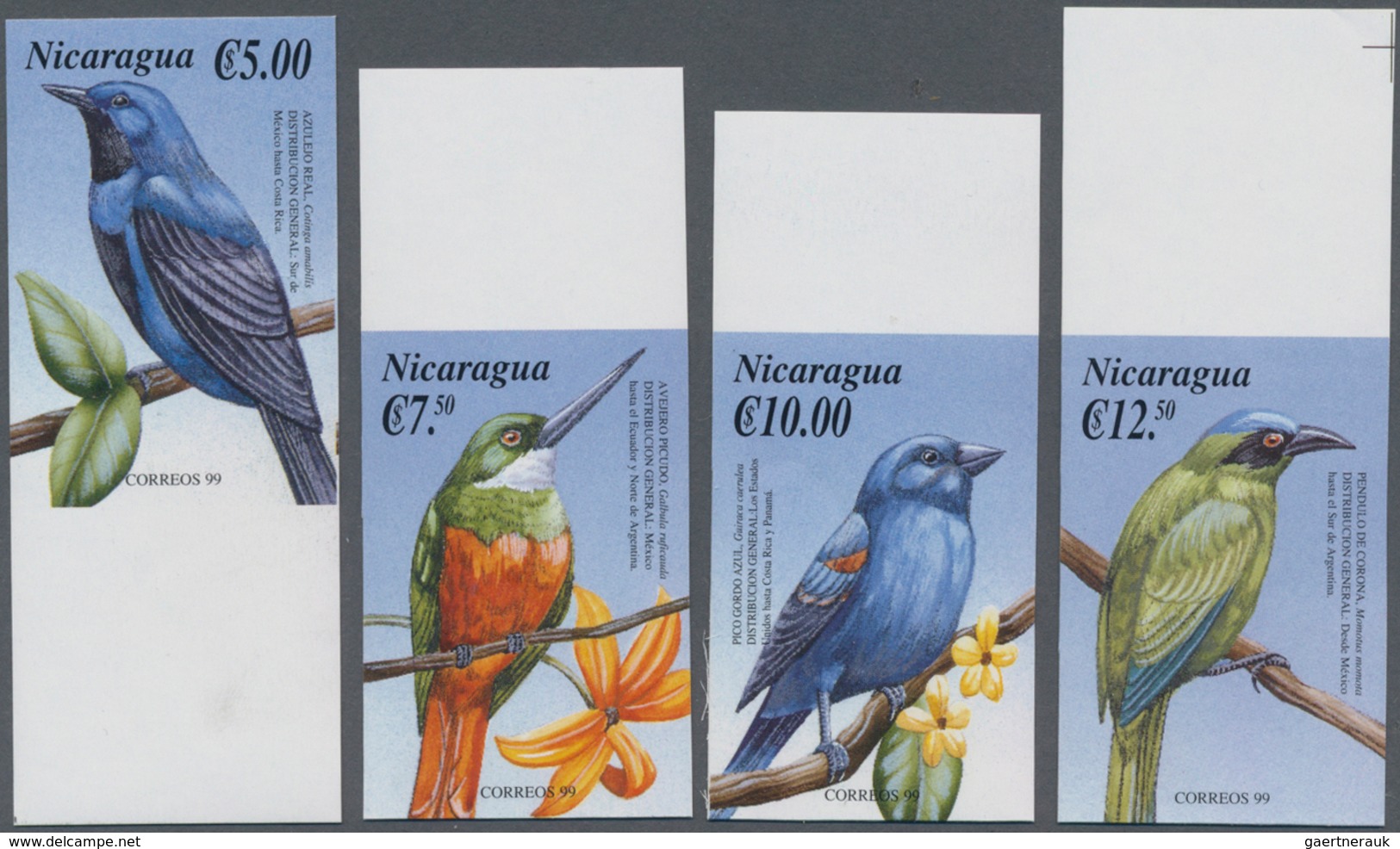 Thematik: Tiere-Vögel / Animals-birds: 2000, NICARAGUA: Birds Of America Complete IMPERFORATE Set Of - Altri & Non Classificati
