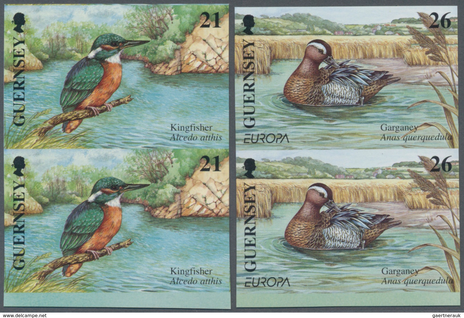 Thematik: Tiere-Vögel / Animals-birds: 2001, GUERNSEY: Europa-CEPT 'Birds' Complete Set Of Four In V - Other & Unclassified