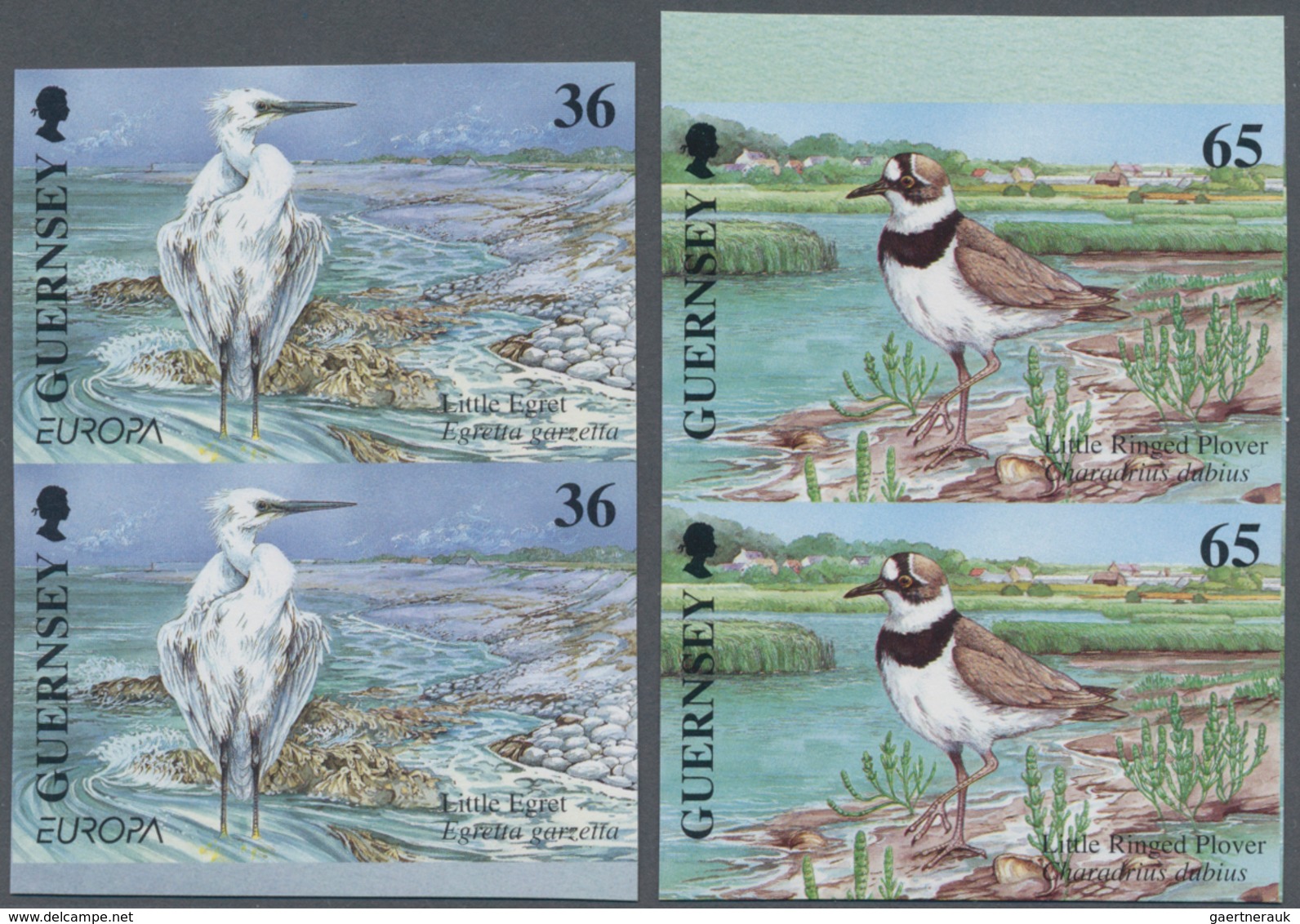 Thematik: Tiere-Vögel / Animals-birds: 2001, GUERNSEY: Europa-CEPT 'Birds' Complete Set Of Four In V - Other & Unclassified