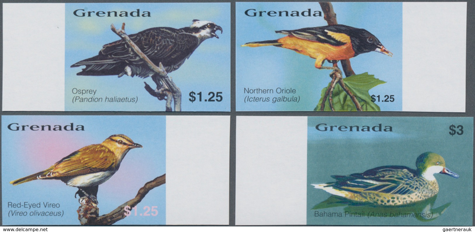 Thematik: Tiere-Vögel / Animals-birds: 2003, GRENADA: Birds Of The Caribbean IMPERFORATE Set Of Four - Sonstige & Ohne Zuordnung