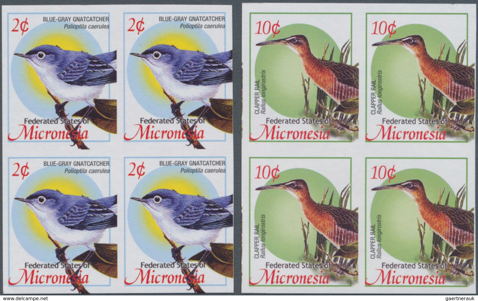 Thematik: Tiere-Vögel / Animals-birds: 2004, MICRONESIA: Definitive Issue 'birds' Set Of Two With 2c - Sonstige & Ohne Zuordnung