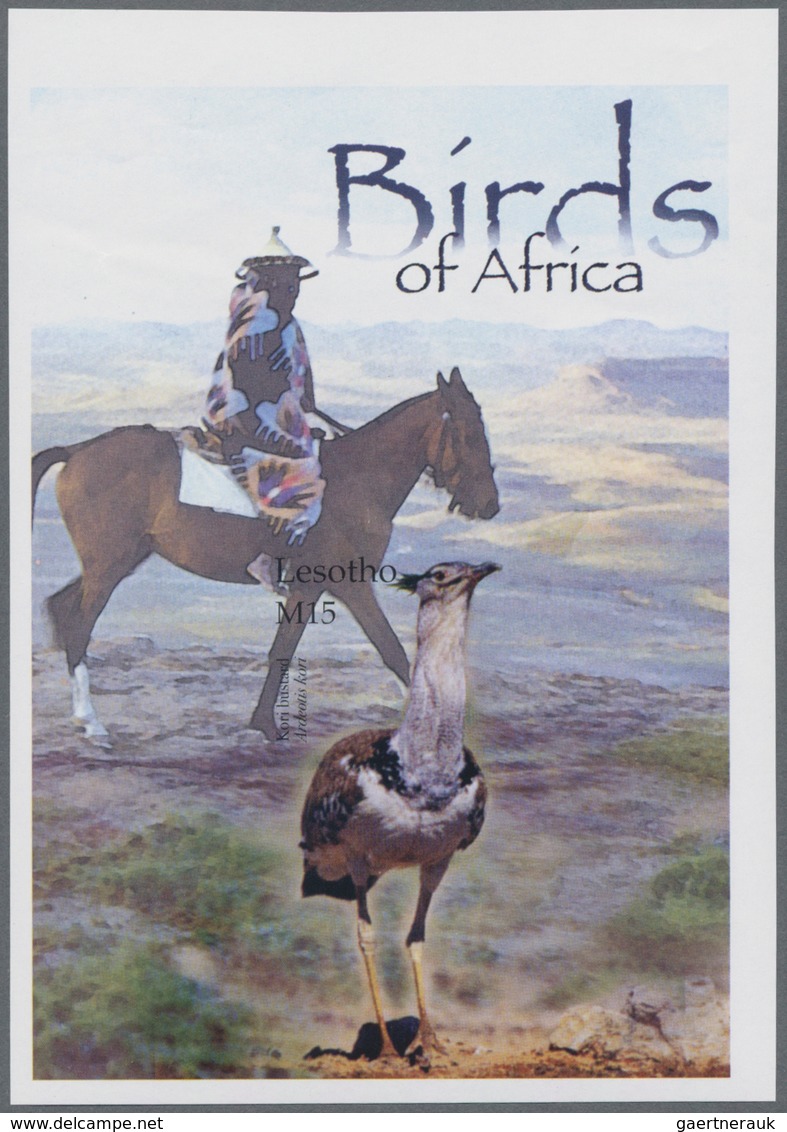 Thematik: Tiere-Vögel / Animals-birds: 2004, LESOTHO: Birds Complete IMPERFORATE Set Of Four (Secret - Otros & Sin Clasificación