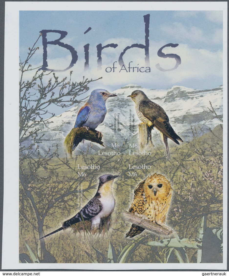 Thematik: Tiere-Vögel / Animals-birds: 2004, LESOTHO: Birds Complete IMPERFORATE Set Of Four (Secret - Otros & Sin Clasificación