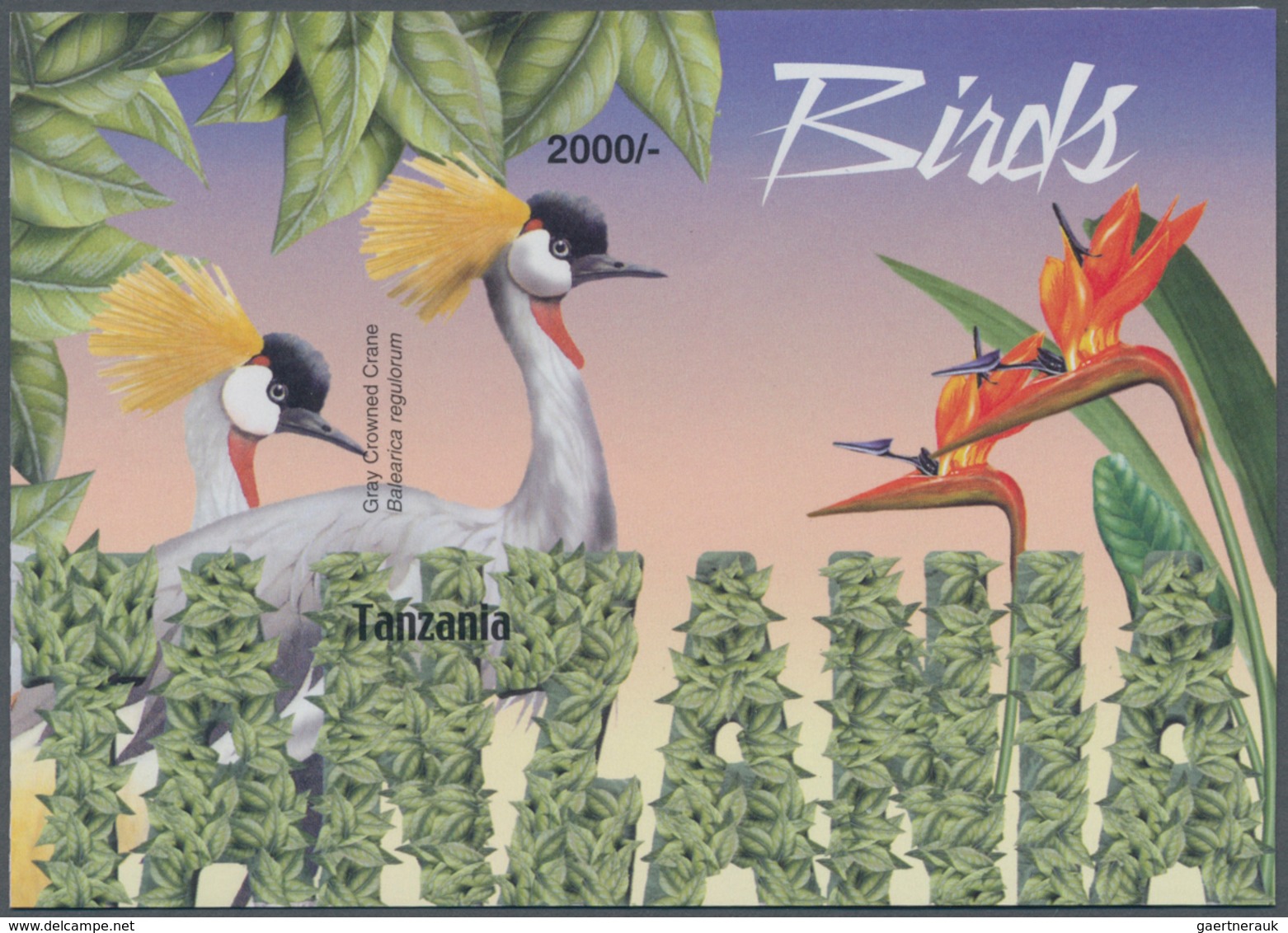 Thematik: Tiere-Vögel / Animals-birds: 2004, Tanzania. Imperforate Souvenir Sheet (1 Value) From The - Sonstige & Ohne Zuordnung