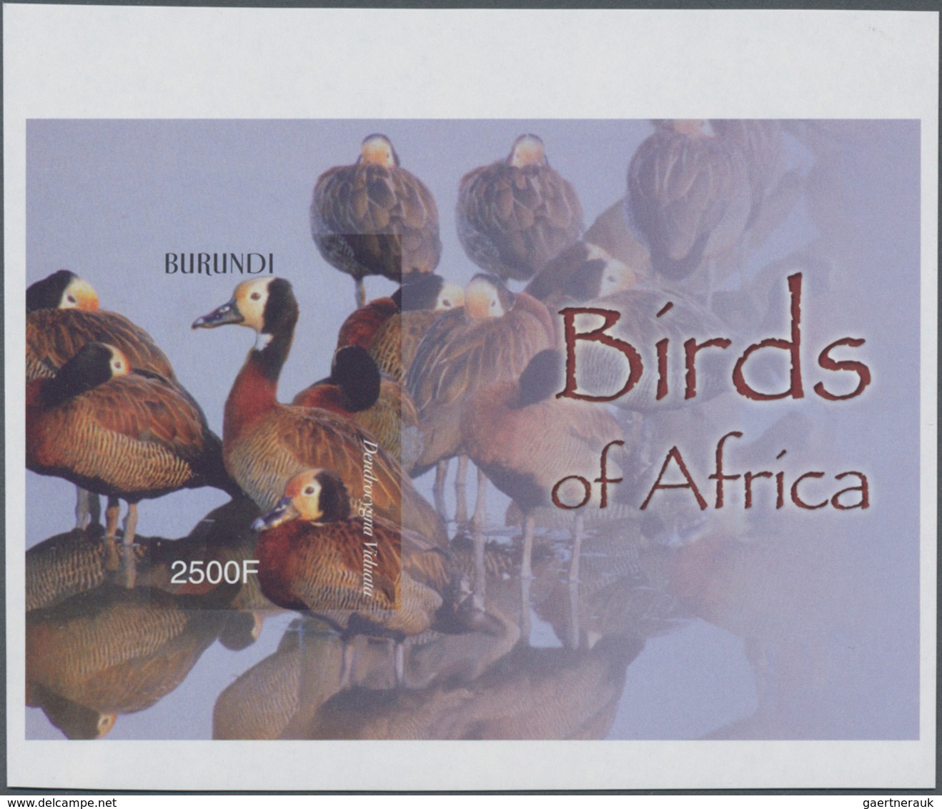 Thematik: Tiere-Vögel / Animals-birds: 2004, BURUNDI: African Birds Complete Set Of Six In An IMPERF - Sonstige & Ohne Zuordnung