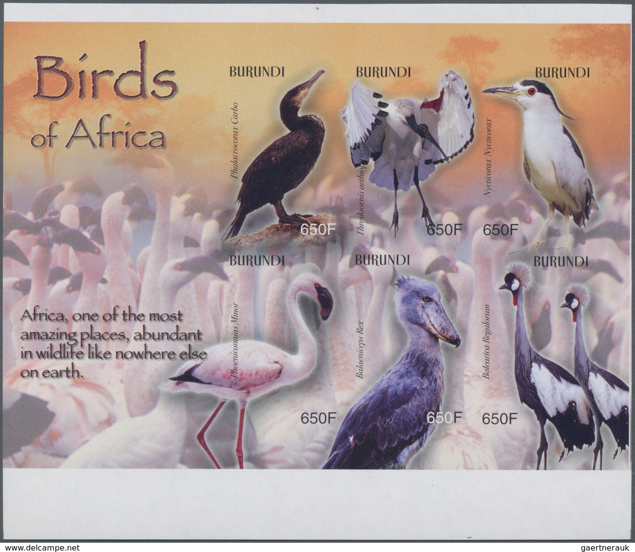 Thematik: Tiere-Vögel / Animals-birds: 2004, BURUNDI: African Birds Complete Set Of Six In An IMPERF - Sonstige & Ohne Zuordnung
