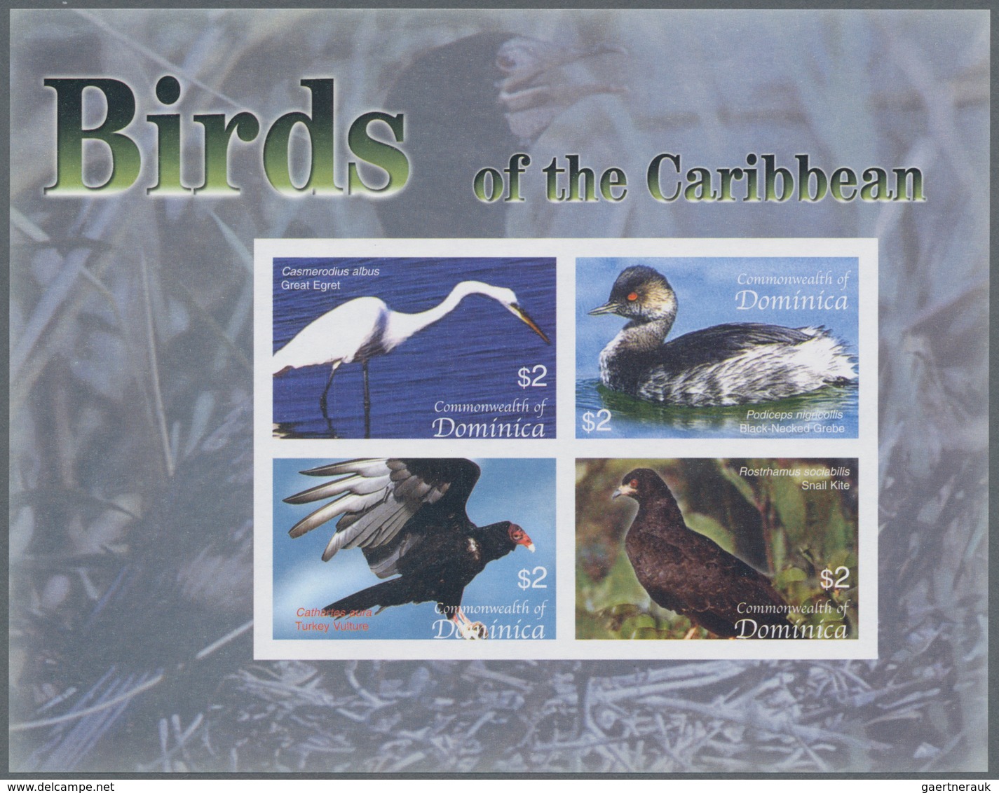 Thematik: Tiere-Vögel / Animals-birds: 2005, Dominica. Imperforate Miniature Sheet Of 4 For The Seri - Sonstige & Ohne Zuordnung