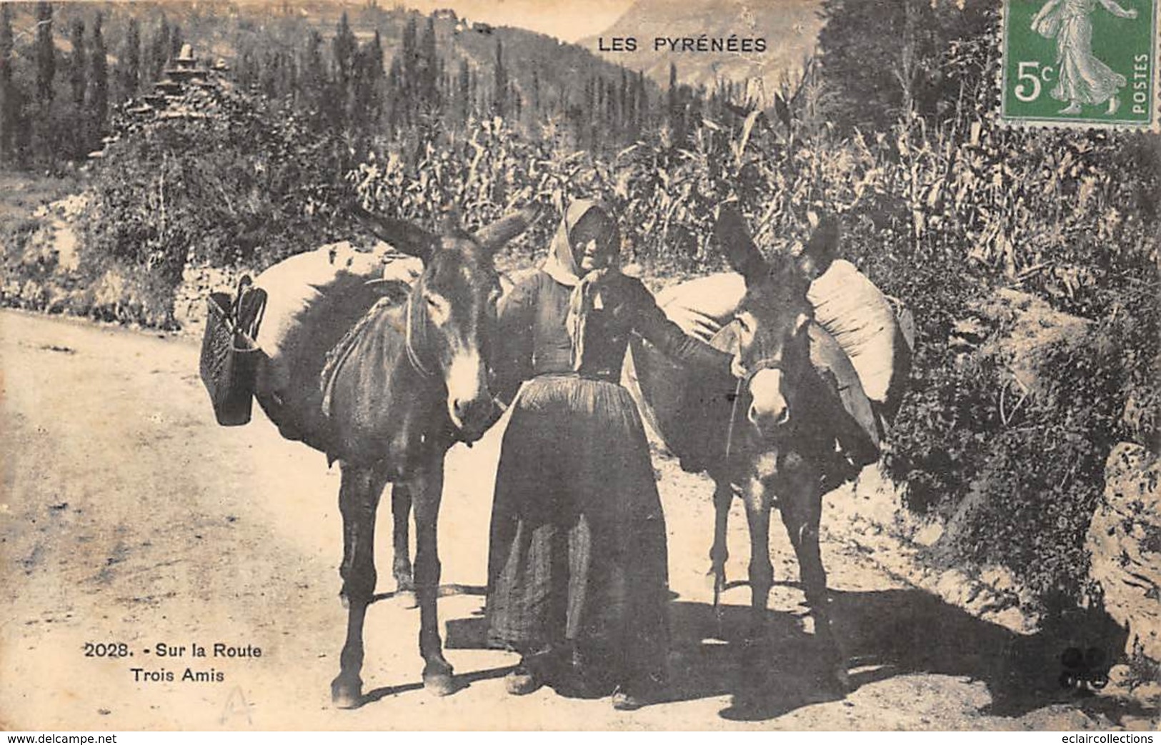 Non Localisé          65          Sur La Route Trois Amis. Femme Et Ses Deux ânes     (voir Scan) - Autres & Non Classés