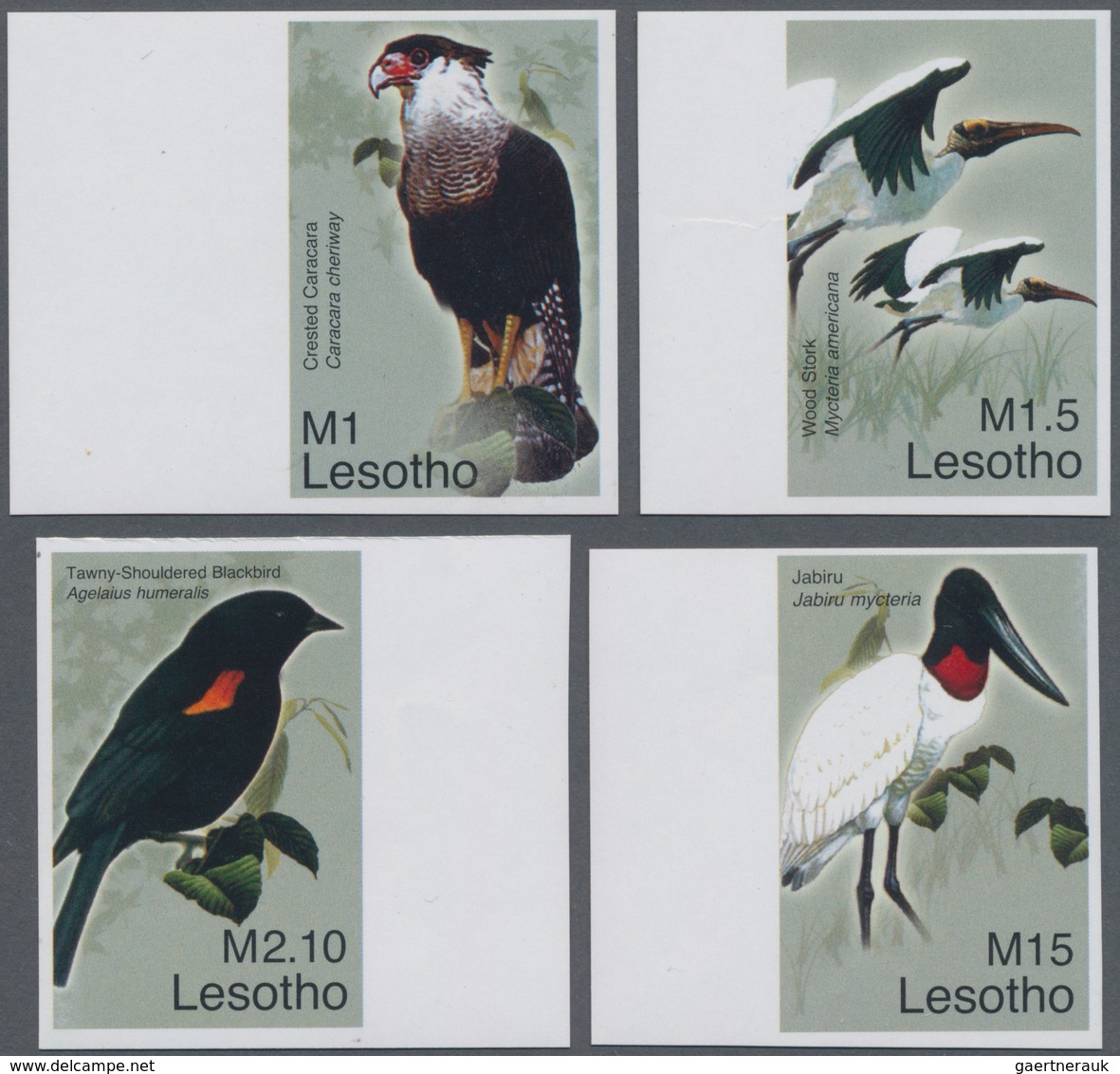 Thematik: Tiere-Vögel / Animals-birds: 2007, LESOTHO: Birds Complete IMPERFORATE Set Of Four (Creste - Sonstige & Ohne Zuordnung