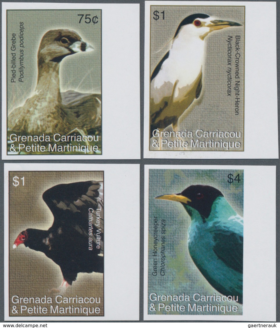 Thematik: Tiere-Vögel / Animals-birds: 2007, GRENADA-CARRIACOU: Birds IMPERFORATE Set Of Four (Pied- - Sonstige & Ohne Zuordnung