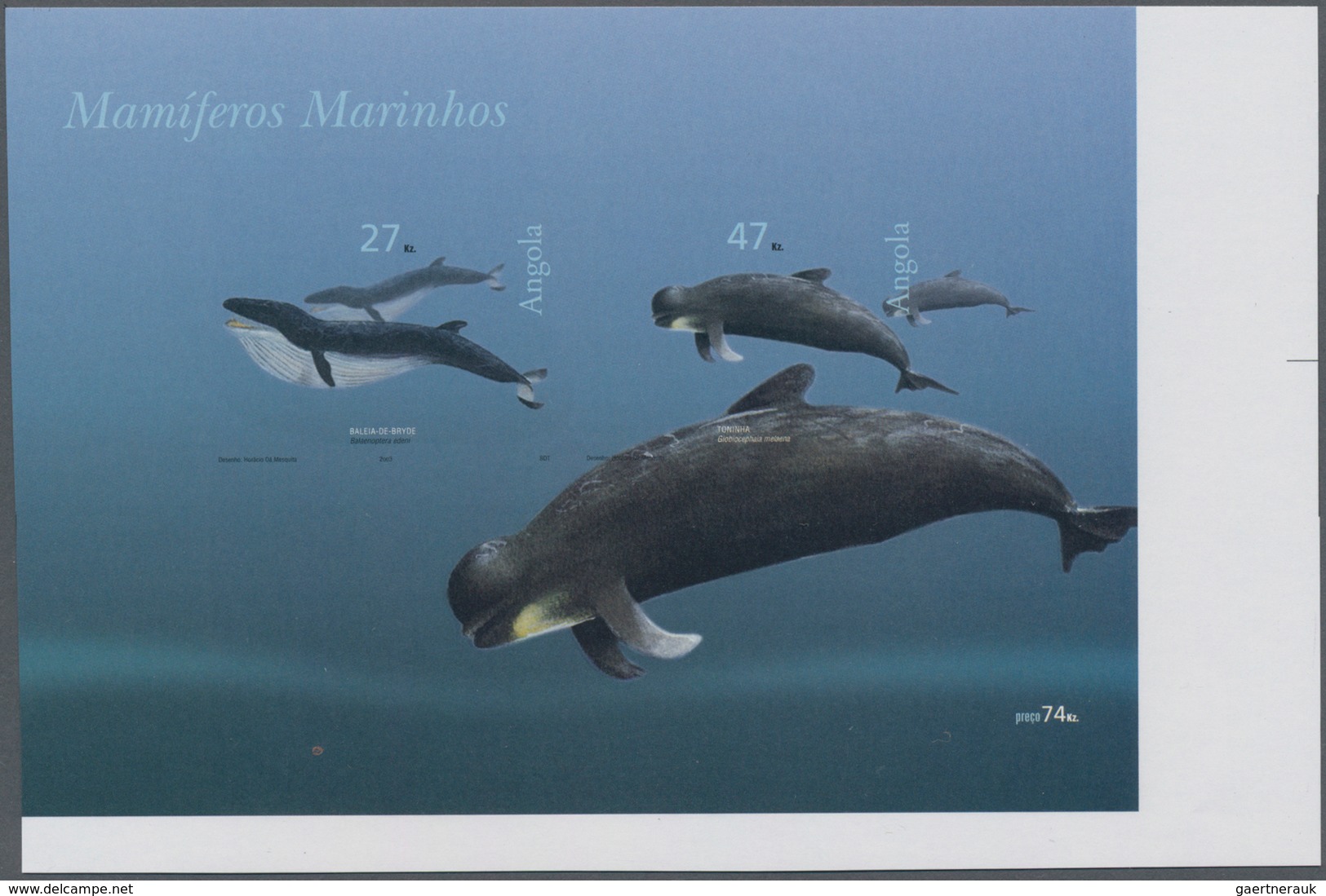 Thematik: Tiere-Meeressäuger (u.a. Wale) / Animals-aquatic Mammals: 2003, ANGOLA: Whales Complete Se - Other & Unclassified