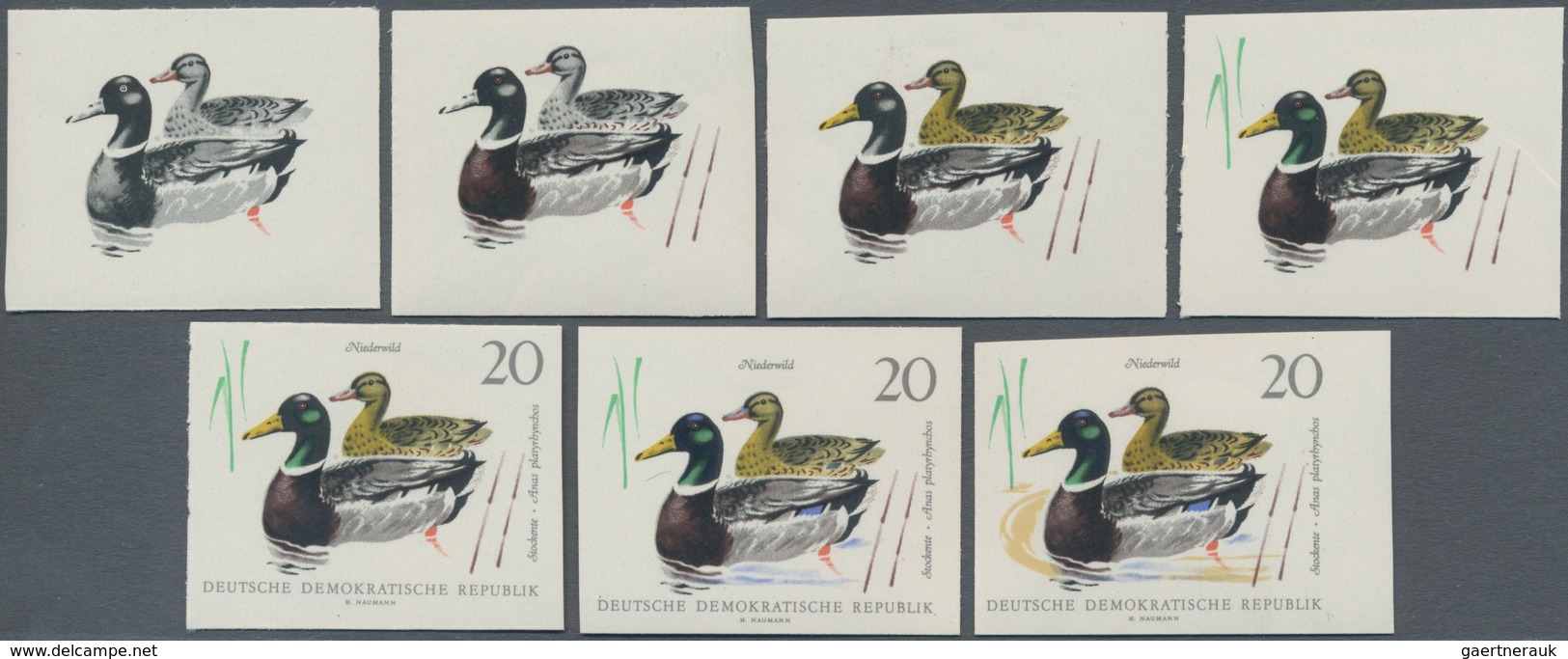 Thematik: Tiere-Wasservögel / Animals-water Birds: 1968, DDR, Stockentenpaar 20 Pfg., Alle Sieben Ge - Sonstige & Ohne Zuordnung