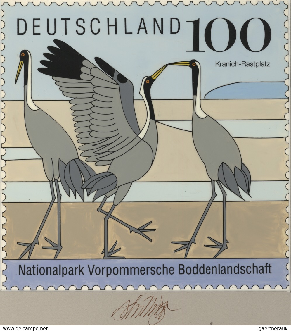 Thematik: Tiere-Wasservögel / Animals-water Birds: 1996, Bund, Nicht Angenommener Künstlerentwurf (2 - Other & Unclassified