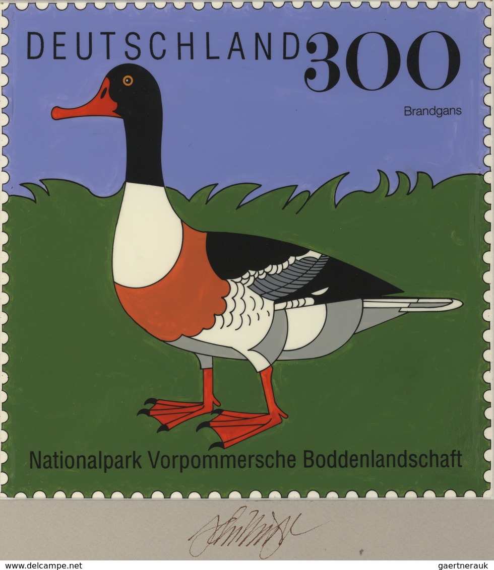 Thematik: Tiere-Wasservögel / Animals-water Birds: 1996, Bund, Nicht Angenommener Künstlerentwurf (2 - Sonstige & Ohne Zuordnung