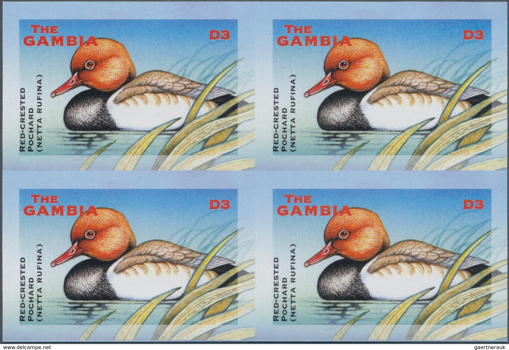 Thematik: Tiere-Wasservögel / Animals-water Birds: 2001, The Gambia. IMPERFORATE Block Of 4 For The - Sonstige & Ohne Zuordnung