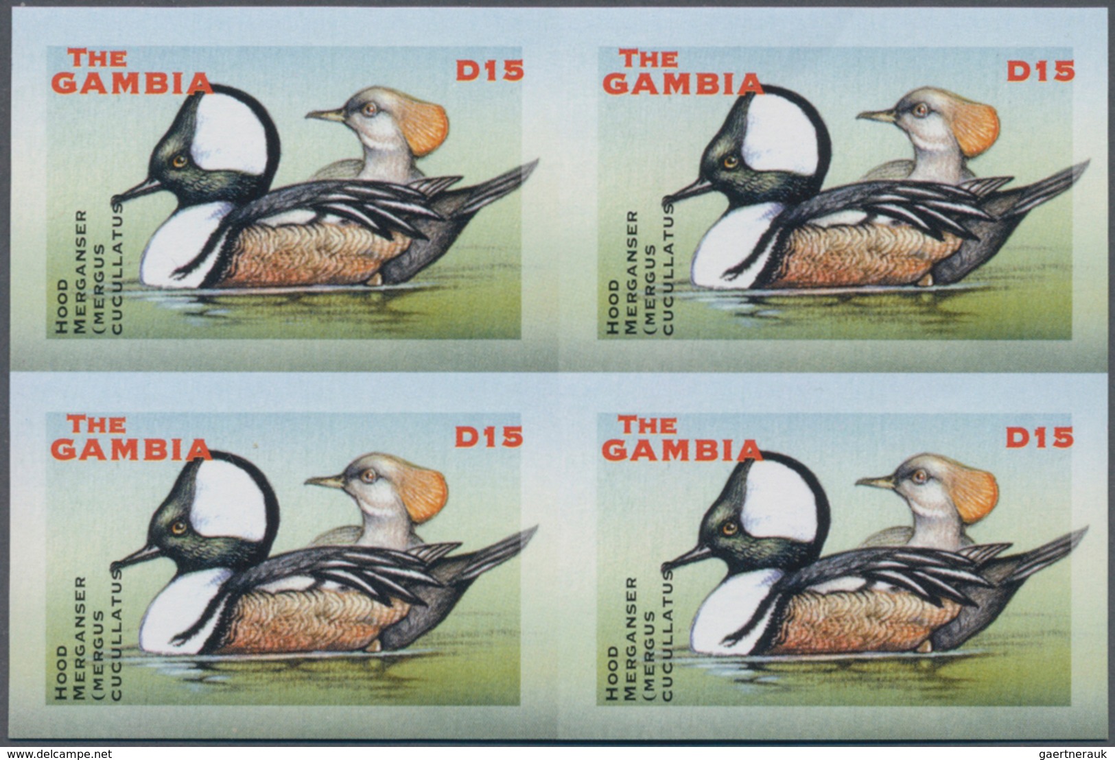 Thematik: Tiere-Wasservögel / Animals-water Birds: 2001, The Gambia. IMPERFORATE Block Of 4 For The - Other & Unclassified