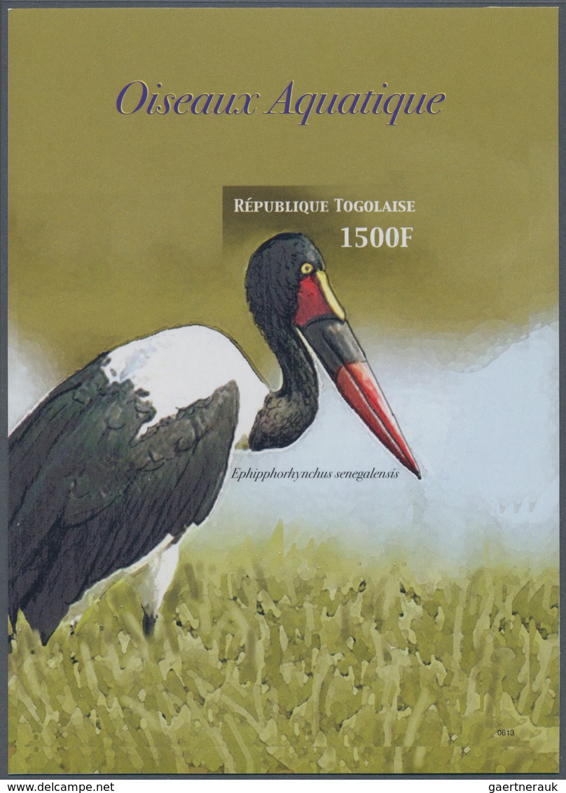 Thematik: Tiere-Wasservögel / Animals-water Birds: 2006, Togo. IMPERFORATE Souvenir Sheet For The Is - Sonstige & Ohne Zuordnung