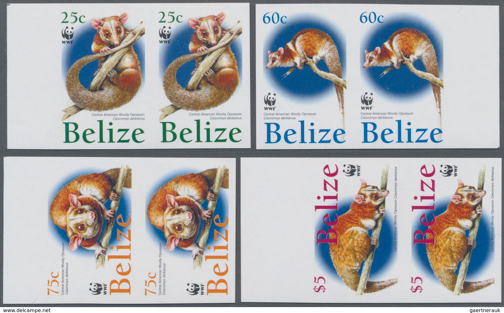 Thematik: WWF: 2004, BELIZE: WWF 'Central American Woolly Opossum' (Caluromys Derbianus) Complete Se - Sonstige & Ohne Zuordnung