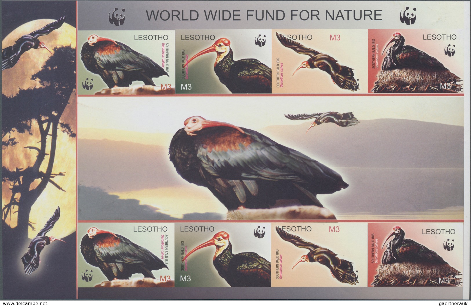 Thematik: WWF: 2004, LESOTHO: WWF 'Southern Bald Ibis' (Geronticus Calvus) Complete Set Of Eight In - Sonstige & Ohne Zuordnung