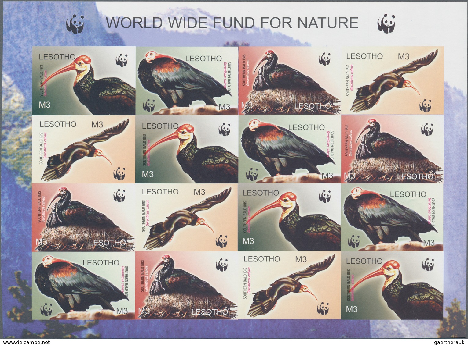 Thematik: WWF: 2004, LESOTHO: WWF 'Southern Bald Ibis' (Geronticus Calvus) Complete Set Of Eight In - Sonstige & Ohne Zuordnung