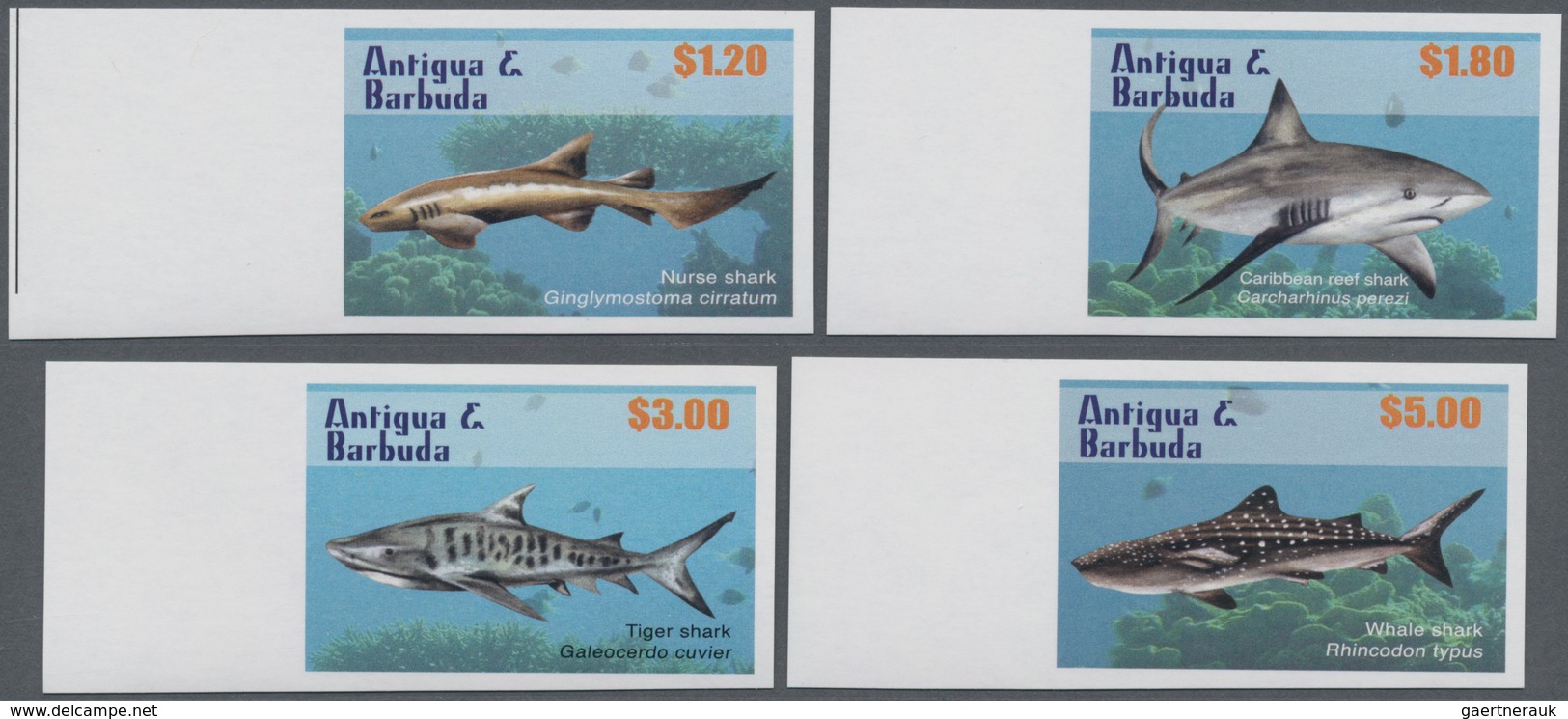 Antigua: 2010, Sharks Complete IMPERFORATE Set Of Four (Nurse Shark, Caribbean Reef Shark. Tiger Sha - Antigua Und Barbuda (1981-...)