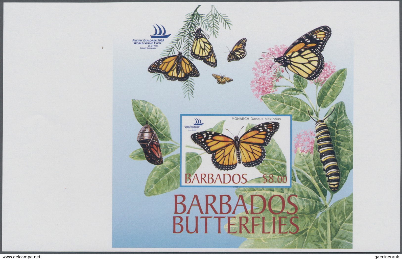 Barbados: 2005, Butterflies Complete IMPERFORATE Set Of Four (Anartia Jatrophae, Ascia Monuste, Hist - Barbados (1966-...)
